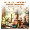Kit De 12 Aceites Esenciales 100% Natural Para Difusor Y