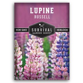 Survival Garden Seeds - Russell Lupine Seed for Planting - Packet with Instructions to Plant and Grow Wildflowers Outdoors in Your Home Vegetable or Flower Garden - Non-GMO Heirloom Variety