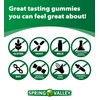 Spring Valley Adult Gummy Calcium with Vitamin D3 50 Servings