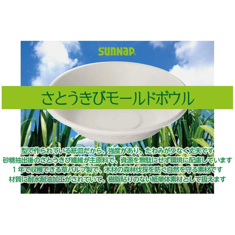 Sunup Sugarcane Pulp Mold, 50 Sheets Paper Plates, Safe Quality,