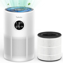 Tailulu D10 Replacement Filte, Air Purifier Filter for Tailulu D10 Air Purifier, 3-in-1 H13 Grade True Replacement Filte, D10 Replacement Filter 1 Pack