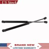 AUTO-NEW 2x Front Left & Right Hood Lift Support Shock