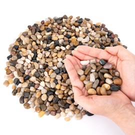 GreatBuddy 2.5-lb Pebbles for Indoor Plants, 3/8" Pea Gravel for Vases, Small Rocks for Succulents, Fish Tanks, Aquariums, Terrarium, Drainage Pebbles for Potted Plants, River Rocks for Landscaping