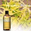 PHATOIL Essential Oil Ylang Ylang 100ml Aroma Oil Essential Oil