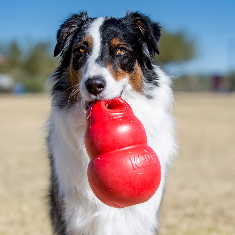 KONG Bounzer Dog Toy, Large, Red