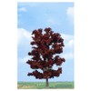 Copper Beech Tree 180mm