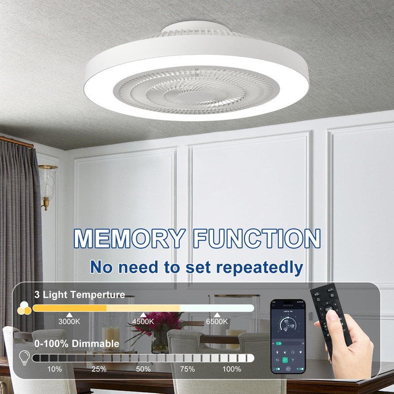 Depuley Modern Ceiling Fan with Light: 19" Bladeless Flush Mount