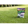 Scotts Turf Builder Bonus S Southern Weed & Feed2, Weed