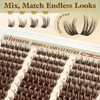 Dark Brown Lash Clusters Wispy Eyelash Clusters Natural Fluffy Lash