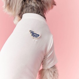 Dog Clothes, Pet Clothes, T-shirt, Simple, Stylish, For Spring, Summer, Autumn, Small Dogs, For Medium Dogs and Cats, Dog Wear, Hair Loss Protection, Loungewear, Commemorative Photos, Outings, Clothes