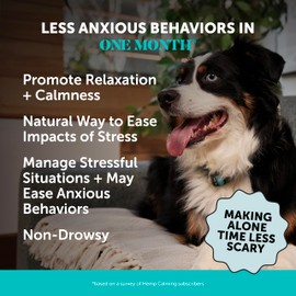 Pet Honesty Pet Honesty Natural Hemp Calming Chews for Dogs - Dog Anxiety Relief - Calming Aid Supplement with Valerian Root, Chamomile, + Magnesium - Stress, Separation & Thunder Support - (Chicken, 90 Count)