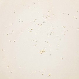 Beauty of Joseon Ginseng Cleansing Oil 210ml