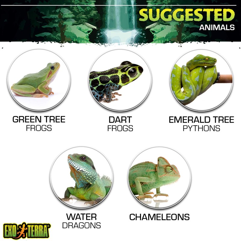 Exo Terra Mister Pump-Up Sprayer, 1.5 Litre