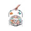 Bright Starts Baby Bouncer Soothing Vibrations Infant Seat - Taggies,