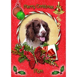 Springer Spaniel Christmas Card Red 'Merry Christmas Mum' - Special Animal Xmas Card for Her Kids