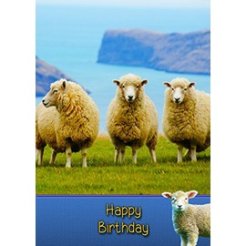 Sheep Birthday Card