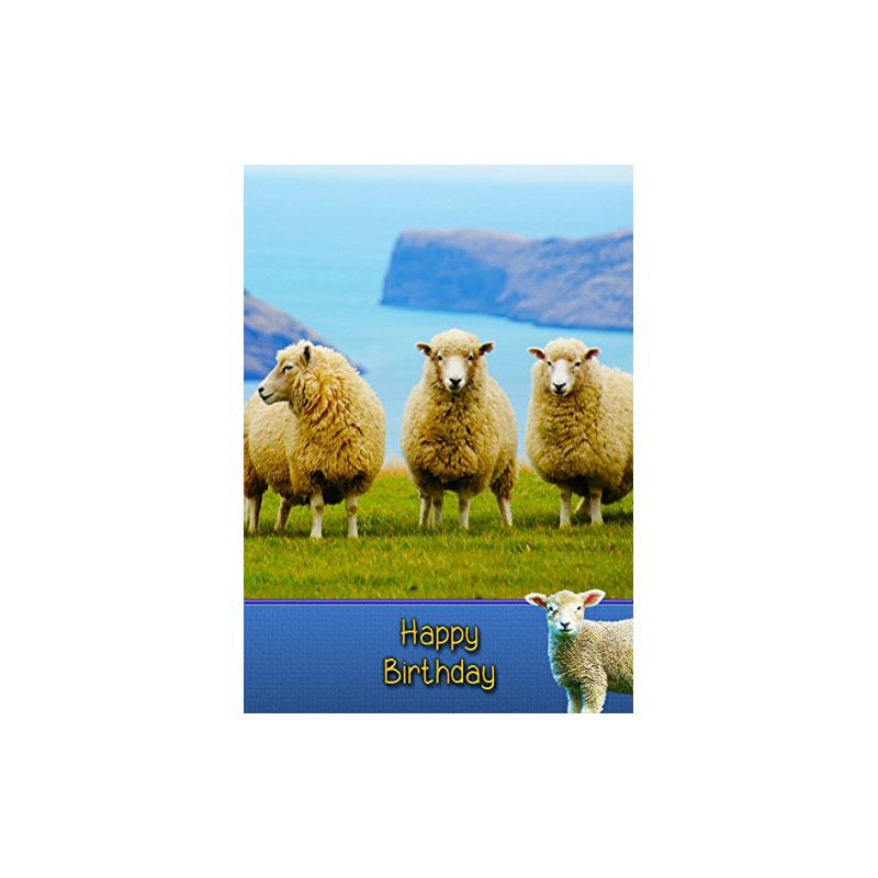 Sheep Birthday Card