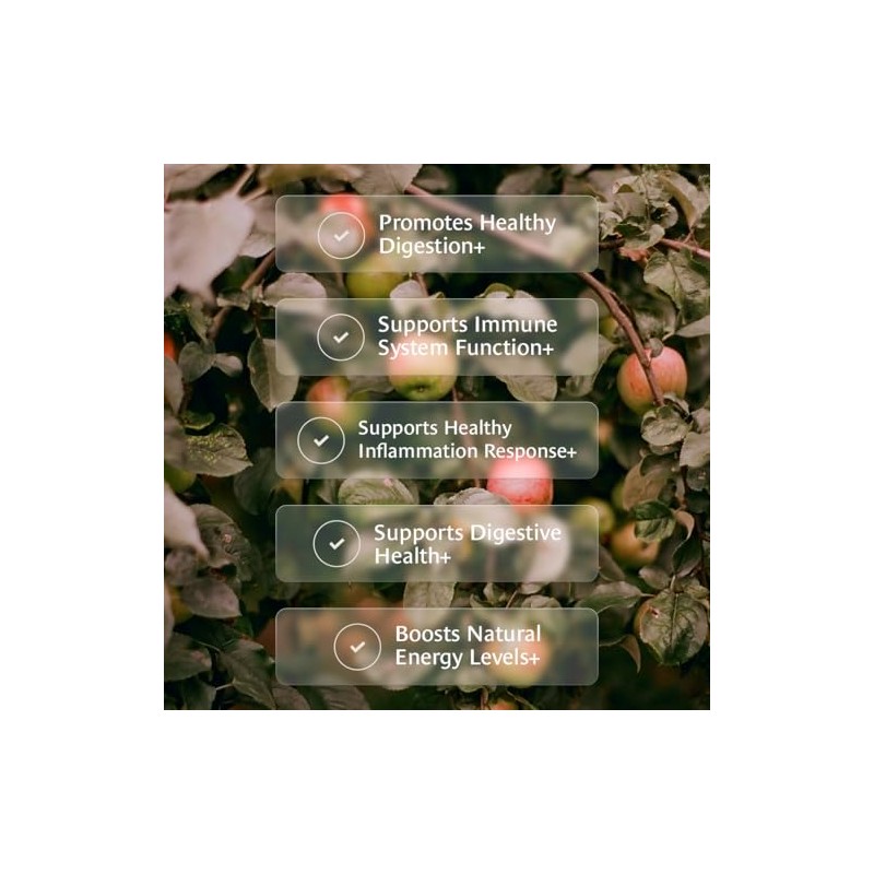 Healing Leaves Tea - 30 Servings - Biblically inspired tea