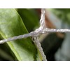 247Garden 6X200FT All-Season Trellis Netting w/ 6in Square Mesh (White,