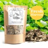 EidolonGreen [China Medicinal Herb] 100% Natural Lotus Leaf Tea,Dried Lotus