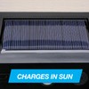 PIC 2-in-1 Solar Bug Zapper and Motion Sensor LED Light,