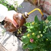Watering Can for Seedlings, Tiny Watering Bottle for Small Desk