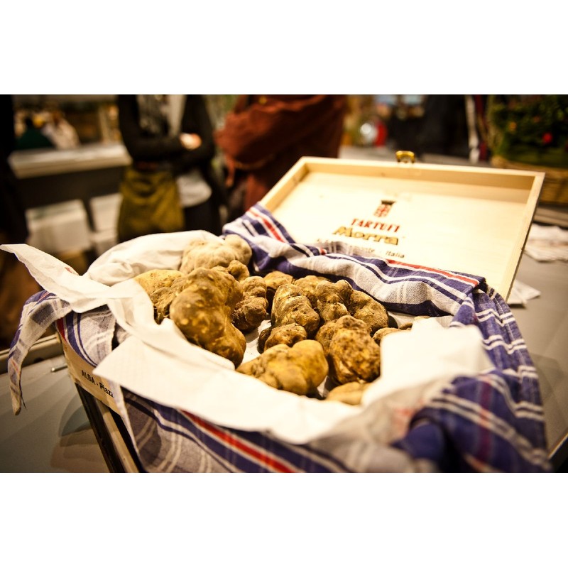 RAISE ME UP: White Truffle Mushrooms Spores (Tuber magnatum) Non
