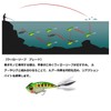 Luana Lure Fishing Willow Leaf Blade Set of 10 /