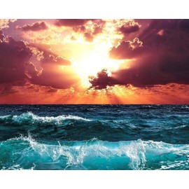 Perfect Horizon - Paint by Number Kit - 16"x20" (40x50cm) - DIY Acrylic Painting Home Decor
