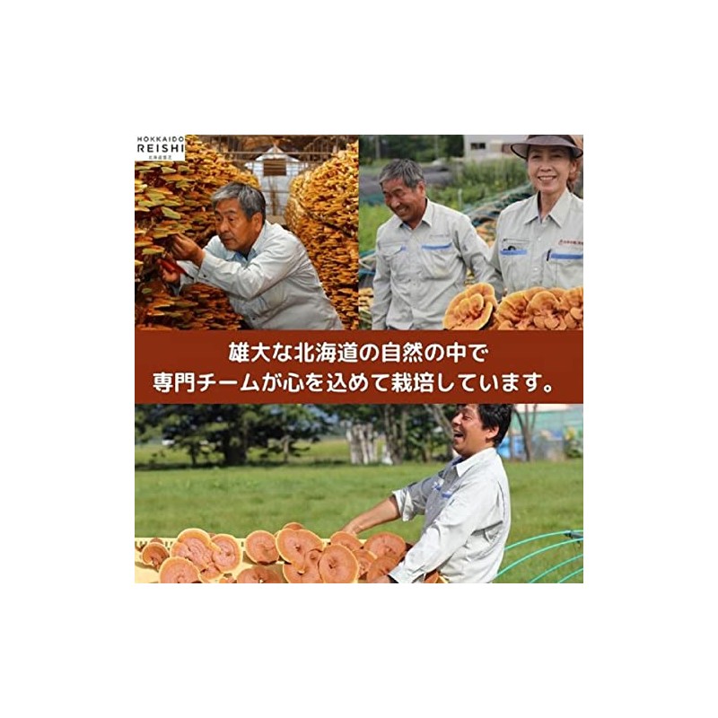 Hokkaido Reishi Oukou Capsules 120