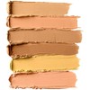 Nyx Professional Makeup, Paleta de correctores, Tono Medium