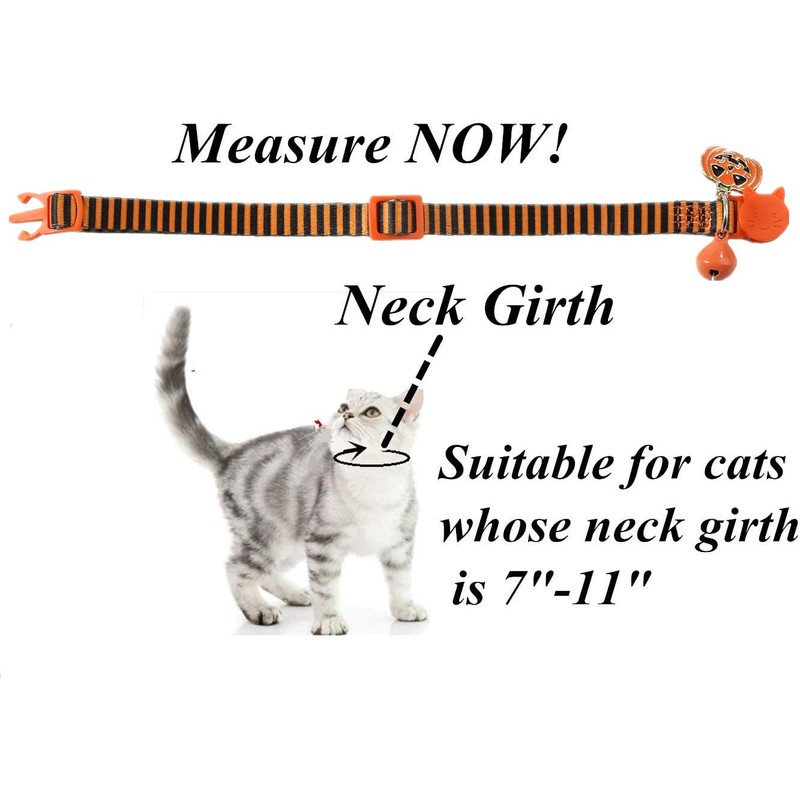 BoomBone Fall Cat Collar with Bell and Pumpkin Charm