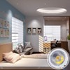 PAR20 LED Bulb 6000K Daylight White Dimmable 12W E26 Medium