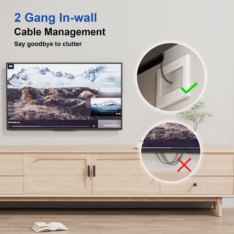 iwillink 2 Gang Brush Wall Plate with Mounting Bracket, Pass