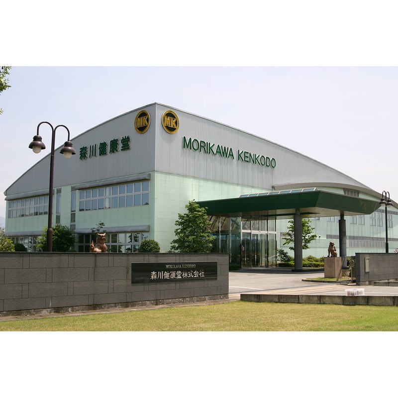 saffron gold 90 tablets