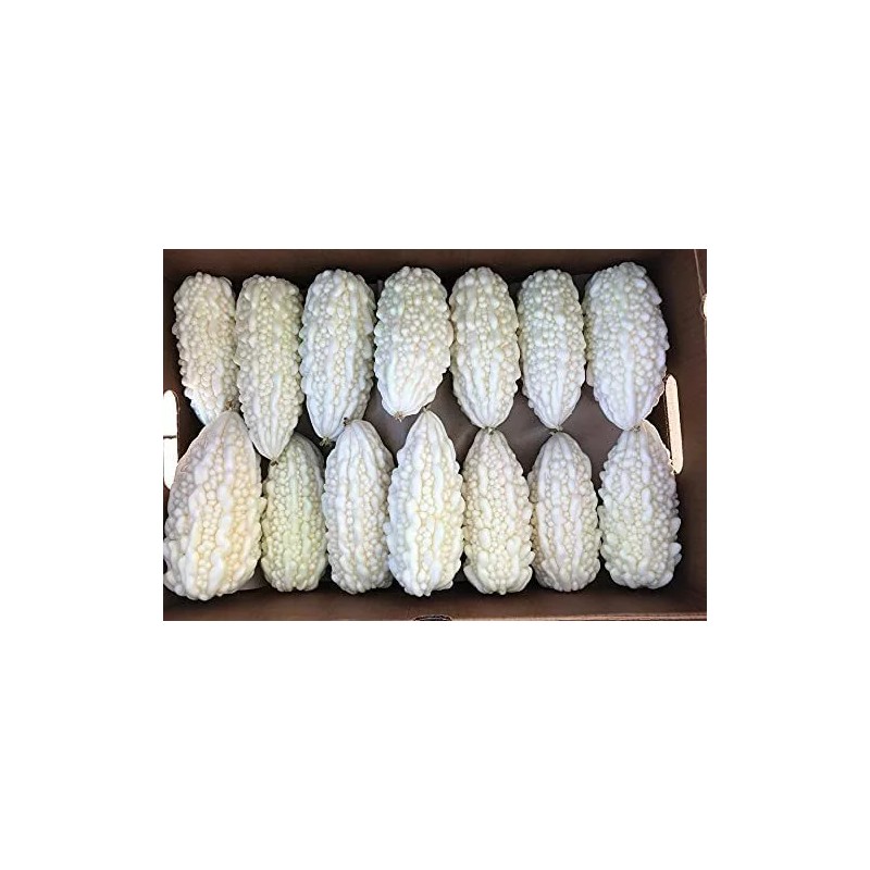 CZ Grain 6 White Bitter Melon Seeds for Planting Whit
