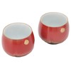2Pcs Ceramic Cup Vintage Chinese Style Tea Cup Kung Fu
