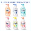 Biore U Body Wash Fresh Floral Pump