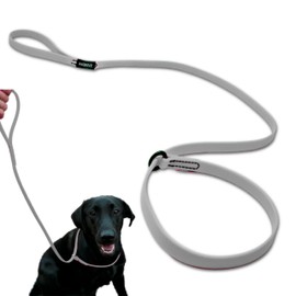 DogBone Pocket Slip Lead (Gray) | Durable Dog Travel Leash | Dog Collar and Leash Set | Dog Training | Dog Walking | Waterproof