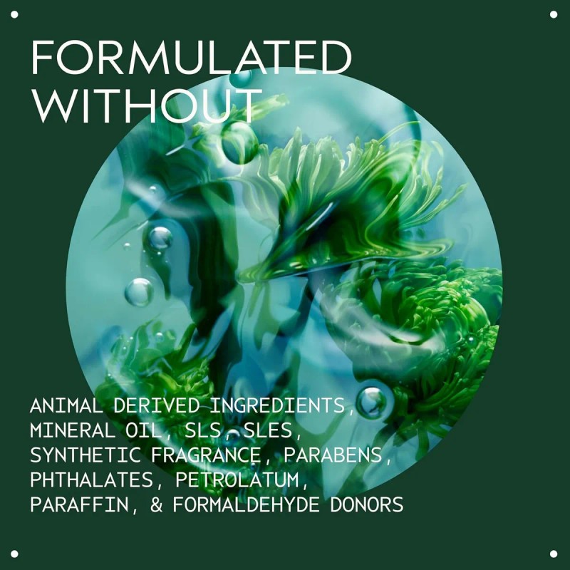 Aveda Champú Pure-formance Para Hombre | Acondicionador Lige