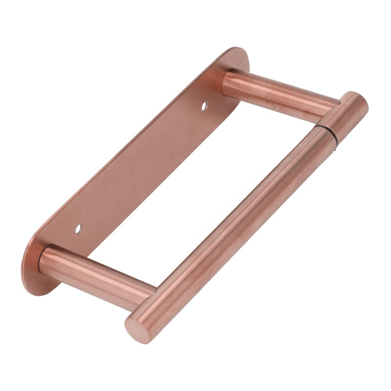 Toilet Paper Holder Multifunctional Rustproof 304 Stainless Steel Wall Mount