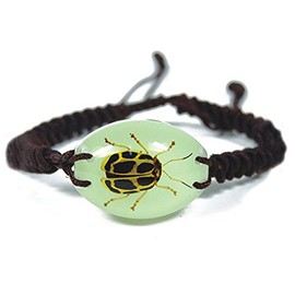 Glow In The Dark Lucite Oval Twisted Band Bracelet w/ Real Spotted Leaf Beetle