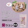 紫ウコン粉末 100g×1P スタンドパック 沖縄ウコン販売 沖縄特産 ガジュツ粉末 沖縄産ガジュツ100%使用