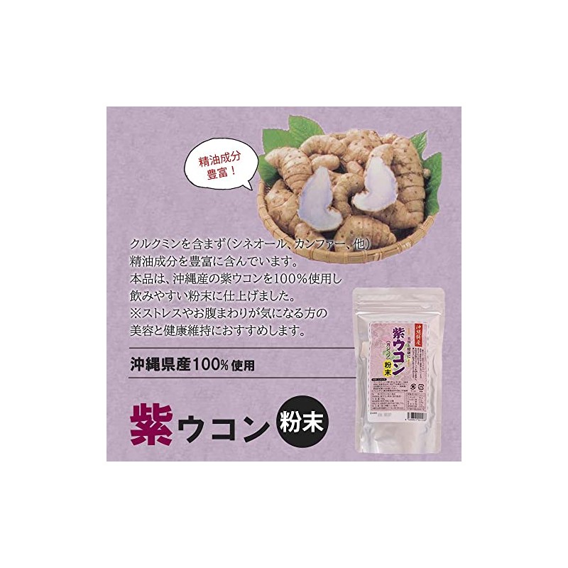 紫ウコン粉末 100g×1P スタンドパック 沖縄ウコン販売 沖縄特産 ガジュツ粉末 沖縄産ガジュツ100%使用