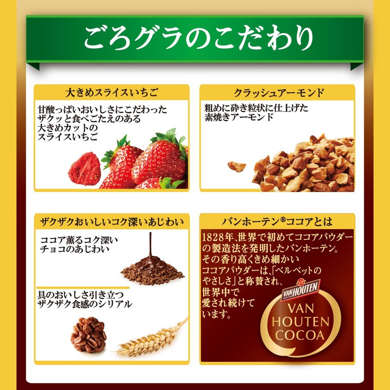 日清シスコ ごろグラ チョコ いちご バンホーテン ブレンド 280g