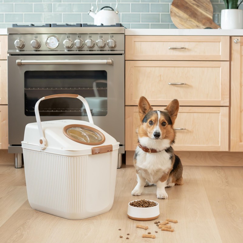 Harry Barker Small Plastic Modern Dog Bowls - 2 Pack