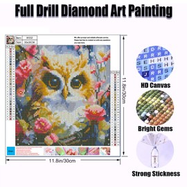 OFRKE - Kits de pintura de diamantes para adultos, principiantes, kits de arte de diamantes 5D con diamantes redondos, arte de gemas de taladro completo, pintura de búho para decoración de pared del