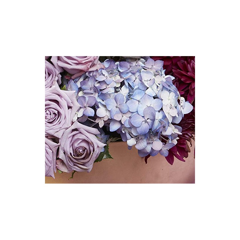 Design Master 762 Hyacinth Colortool Spray