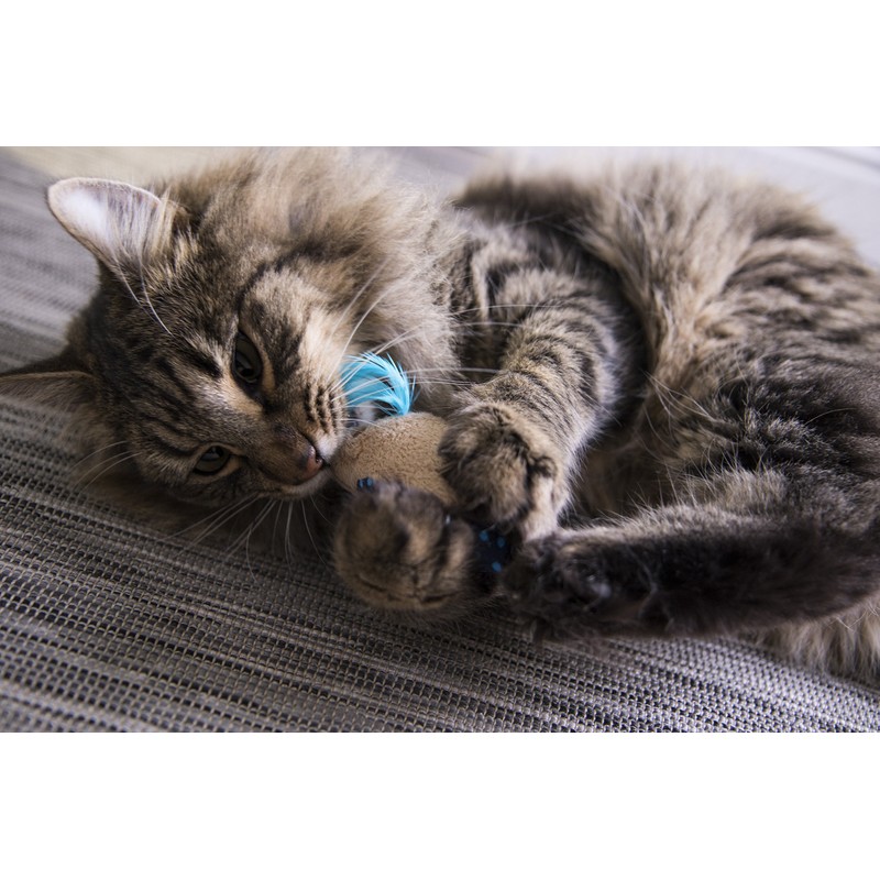 SmartyKat Mouse Mates (Set of 2)