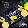 1 Box Big Foot Natural Himalaya Salt Mint Candy -